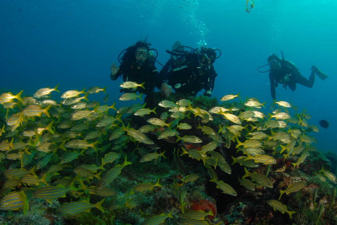 Fernando de Noronha: Das vulkanische Archipel Brasiliens - Pernambuco | Secret World Trip Planner