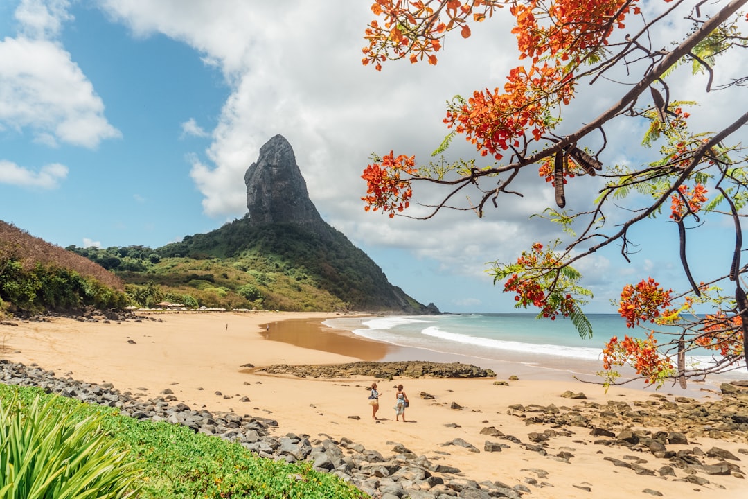 Fernando de Noronha: Das vulkanische Archipel Brasiliens - Pernambuco | Secret World Trip Planner