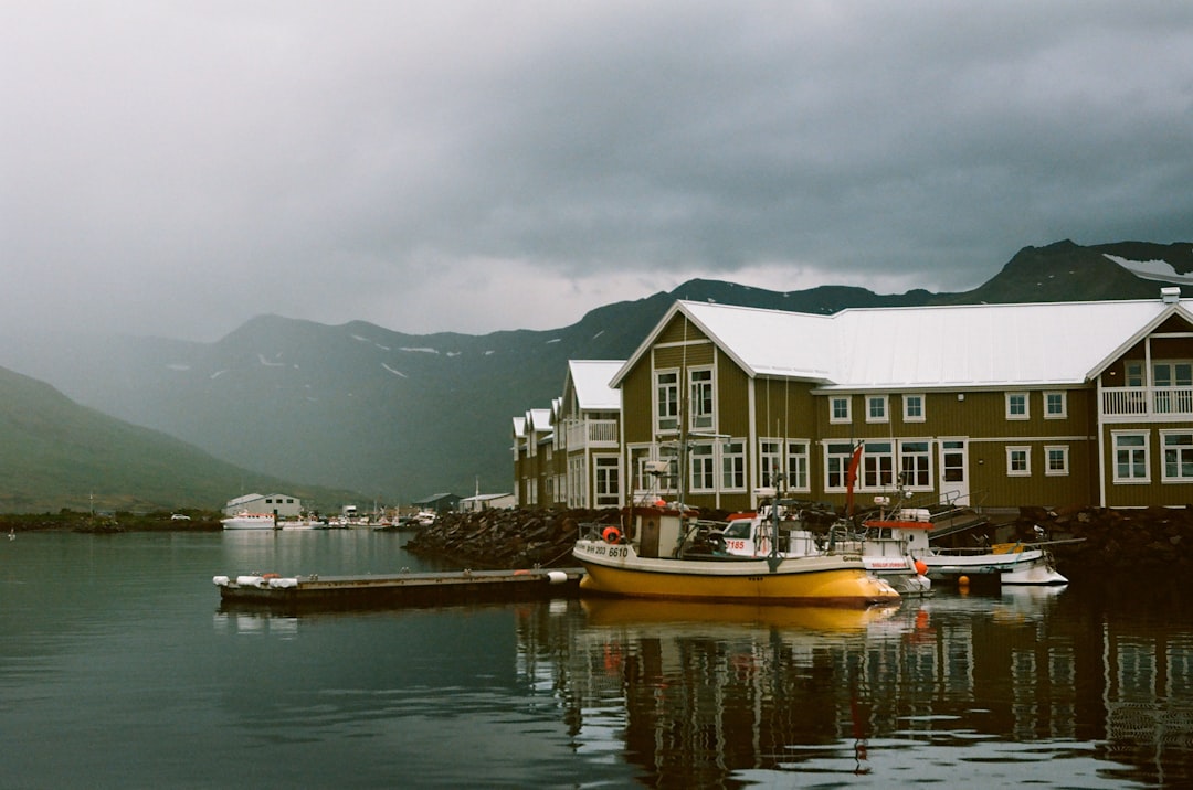 Murals and Herring in Siglufjörður: Fjord Art - Snorragata 10 | Secret World Trip Planner
