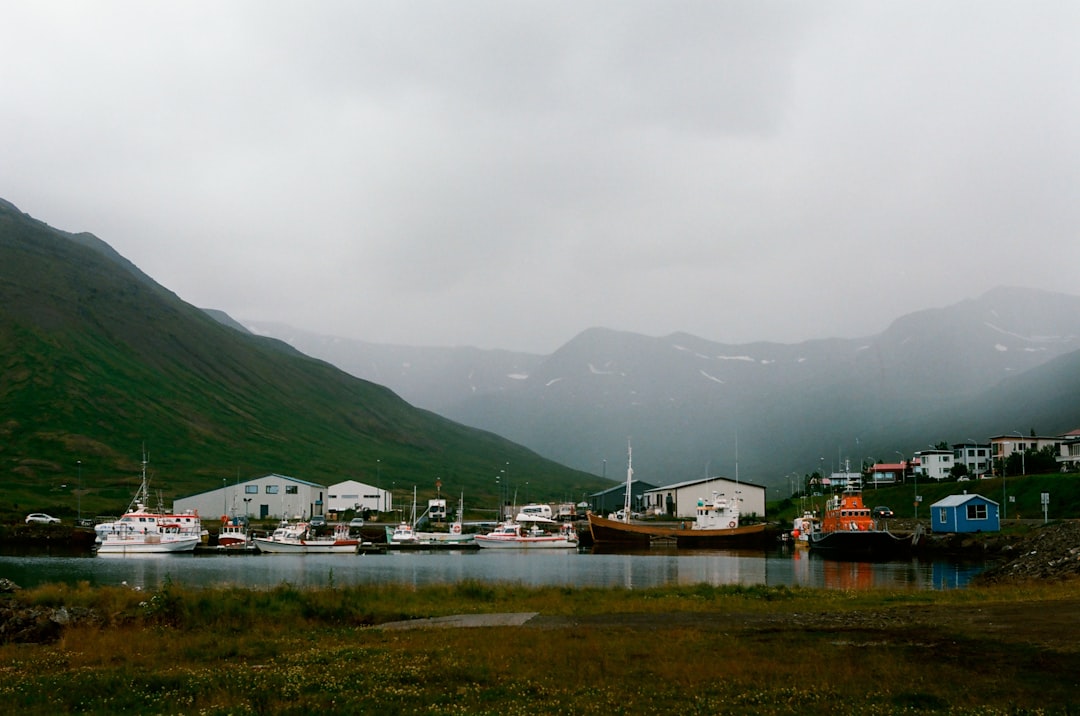 Murales et harengs à Siglufjörður : art au fiord - Snorragata 10 | Secret World Trip Planner