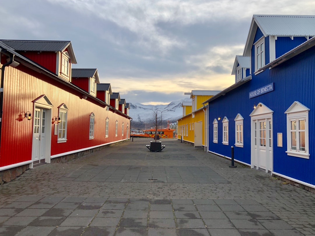 Murales et harengs à Siglufjörður : art au fiord - Snorragata 10 | Secret World Trip Planner