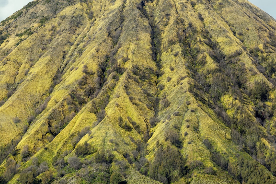 Gorilles des Montagnes à Kinigi : Trek au Parc des Volcans - GHWP+JFM | Secret World Trip Planner