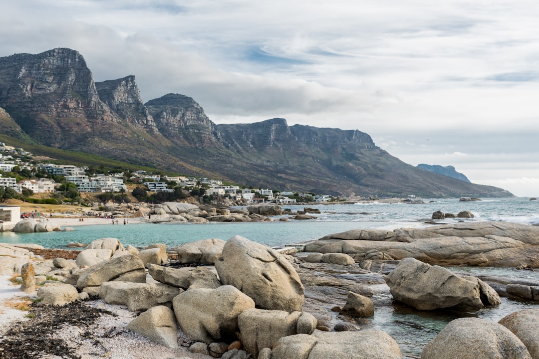Boulders Beach: i pinguini africani di Cape Town - Cape Town | Secret World Trip Planner