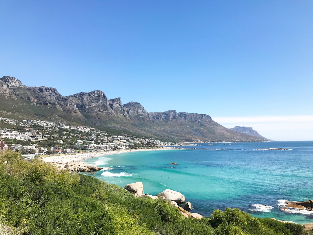 Boulders Beach: African Penguins in Cape Town - Cape Town | Secret World Trip Planner