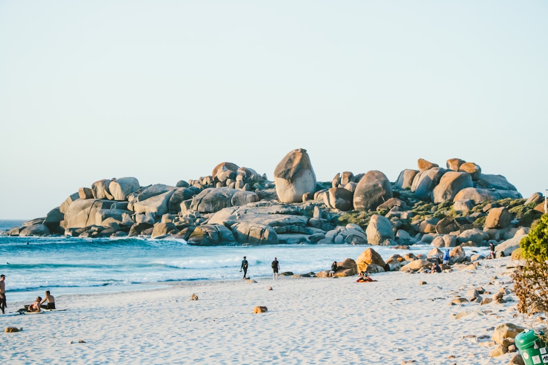 Boulders Beach : les pingouins africains de Cape Town — Cape Town