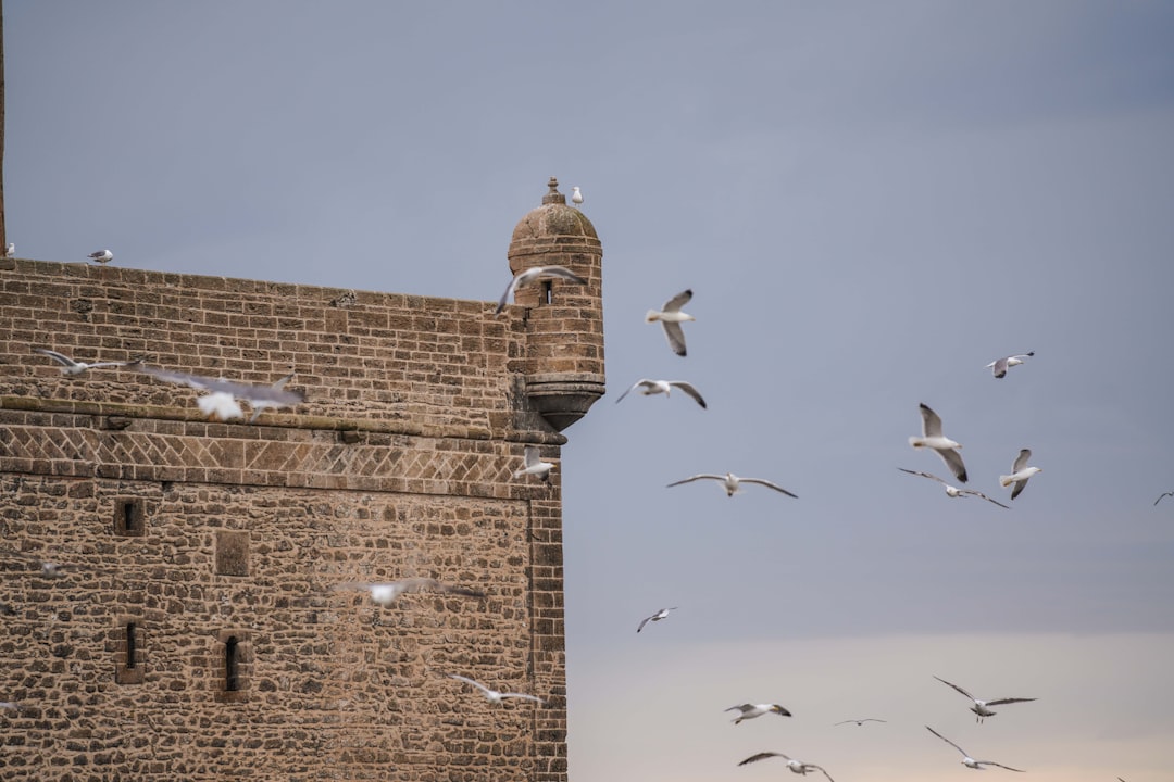 Märkte von Essaouira: Holz, Wind und blaue Gewürze - Medina of Essaouira | Secret World Trip Planner