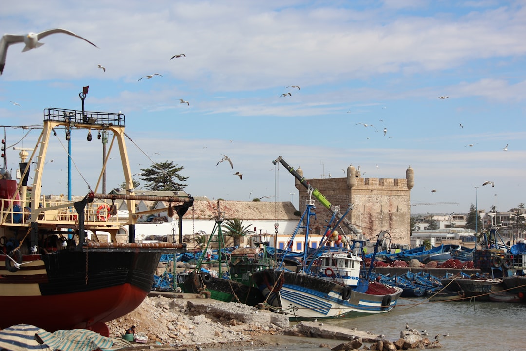 Märkte von Essaouira: Holz, Wind und blaue Gewürze - Medina of Essaouira | Secret World Trip Planner