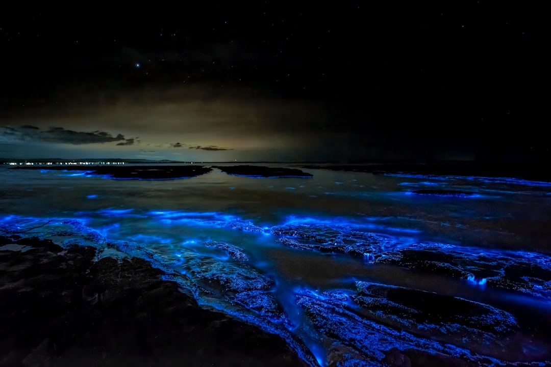 Vieques Bioluminescent Bay: Light in the Water - Vieques 00765 | Secret World Trip Planner