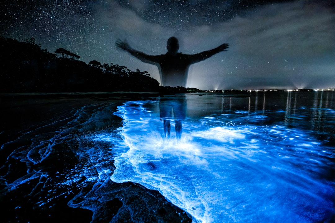 Biolumineszente Bucht von Vieques: Licht im Wasser - Vieques 00765 | Secret World Trip Planner