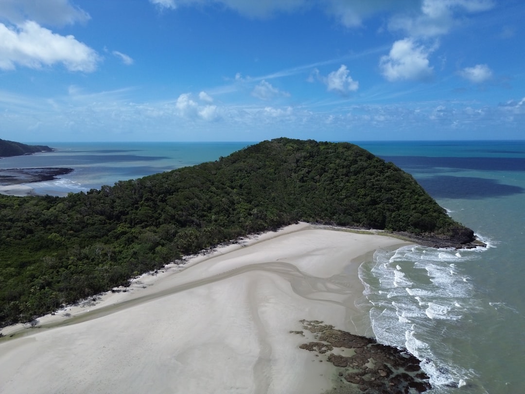 Foresta di Daintree: panorami tra foresta e barriera corallina - 2333 Cape Tribulation Rd | Secret World Trip Planner