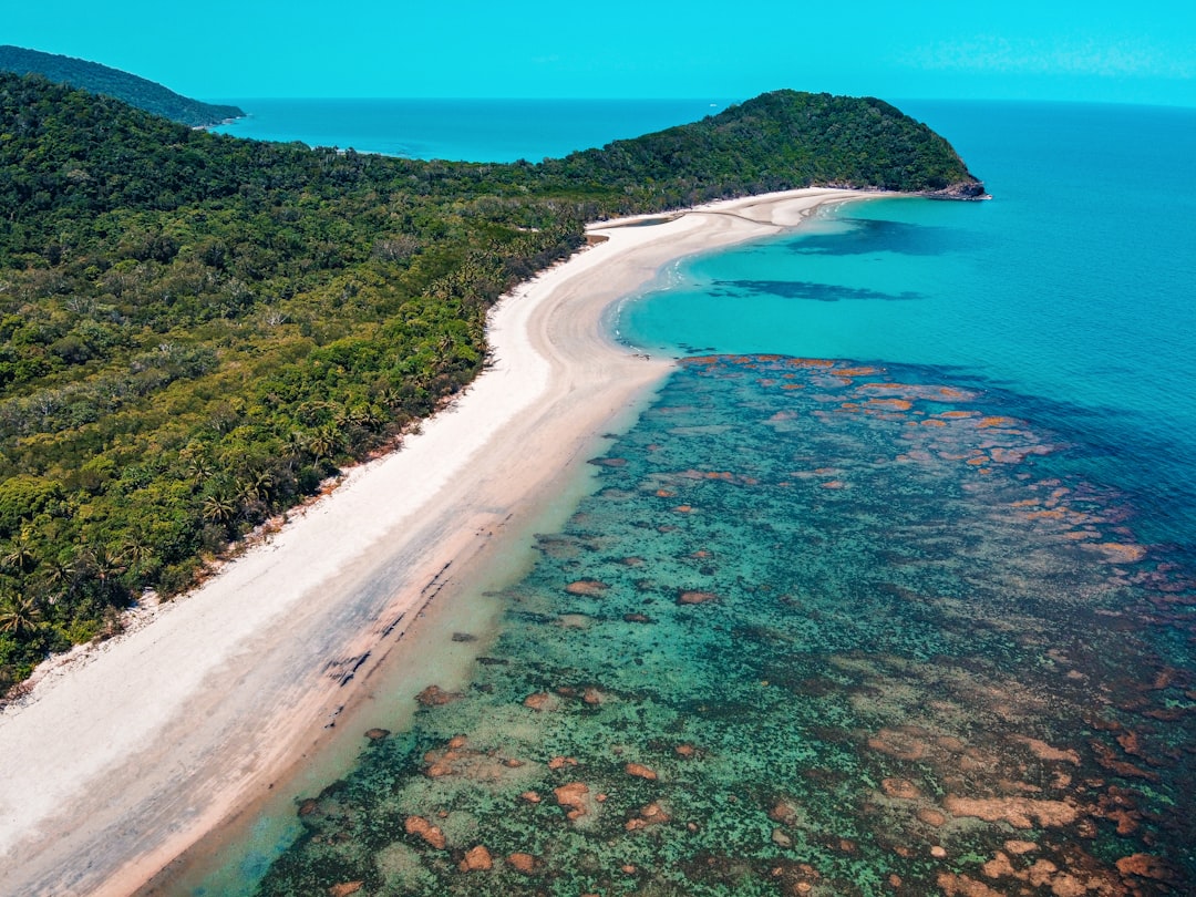 Daintree Forest: Stunning Views of Forest and Reef - 2333 Cape Tribulation Rd | Secret World Trip Planner
