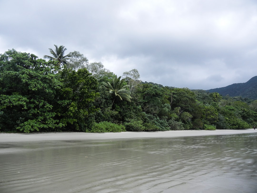 Daintree-Wald: Ausblicke zwischen Wald und Korallenriff - 2333 Cape Tribulation Rd | Secret World Trip Planner