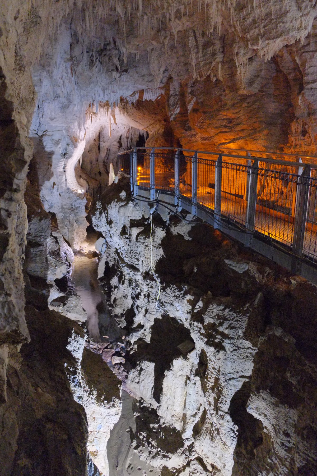 Ruakuri: le grotte di gusci luminosi a Waitomo - Ruakuri Mağarası | Secret World Trip Planner