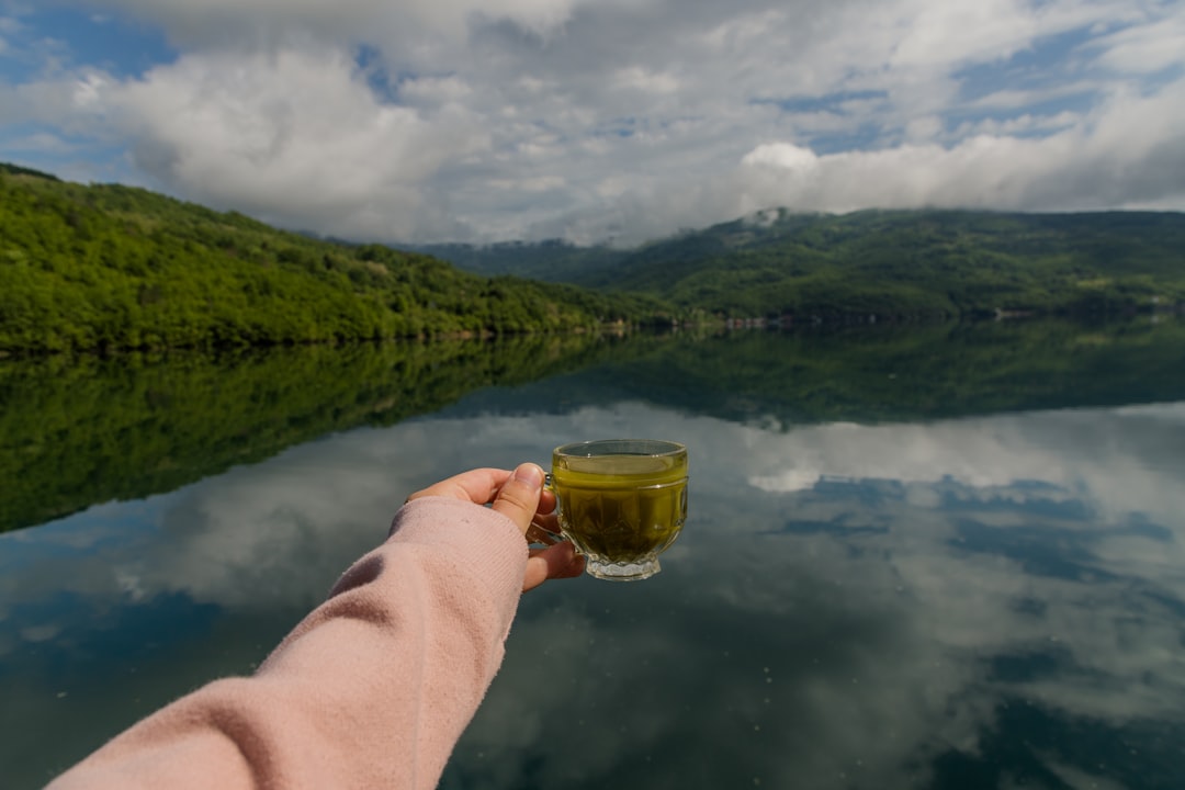 Lago di Perućac: l'emeraldo della Serbia occidentale | Secret World Trip Planner