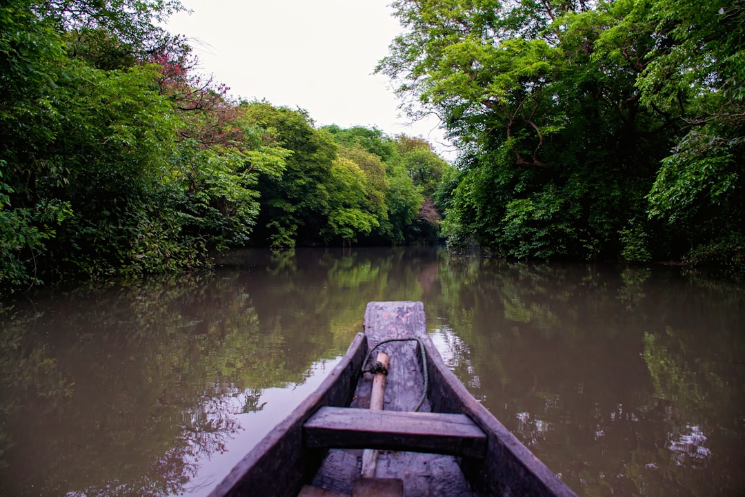 Ratargul: Der überflutete Wald von Bangladesch - 2W79+MFG | Secret World Trip Planner