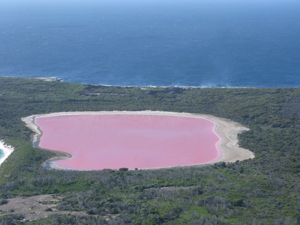 Lago Hillier: il lago rosa dell'Australia Occidentale - Lago Hillier | Secret World Trip Planner