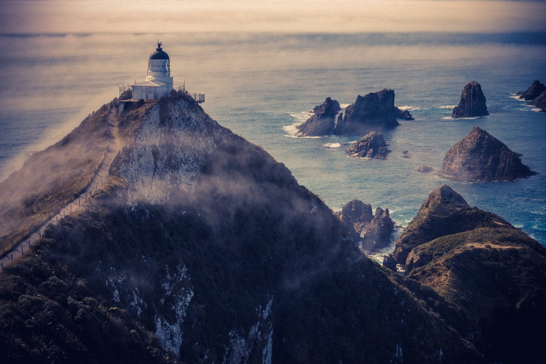 Nugget Point: The Wild Lighthouse of the Catlins - The Nuggets Road | Secret World Trip Planner