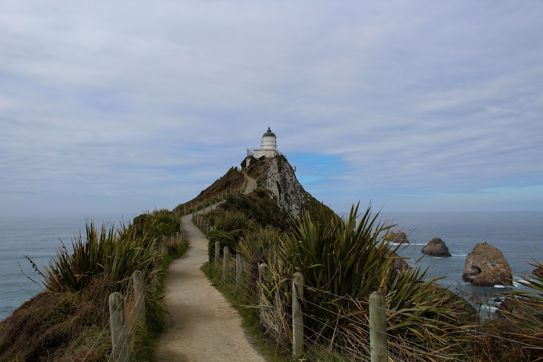 Nugget Point: The Wild Lighthouse of the Catlins - The Nuggets Road | Secret World Trip Planner