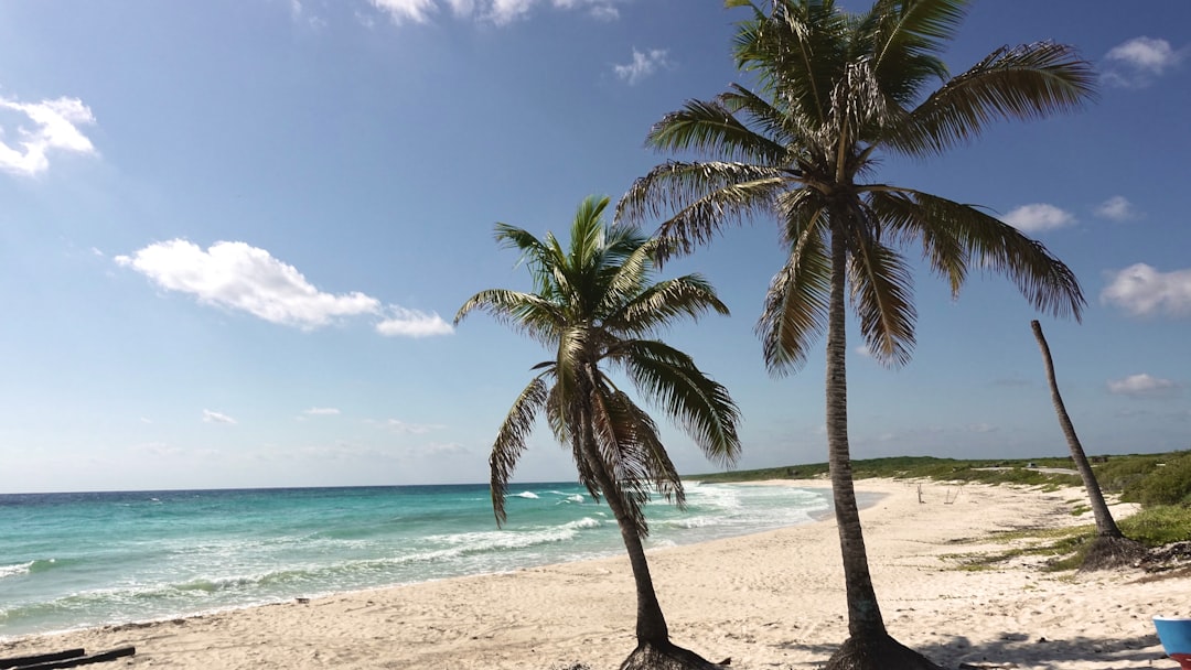 Punta Sur : la nature sauvage de Cozumel - 77600 Cozumel | Secret World Trip Planner