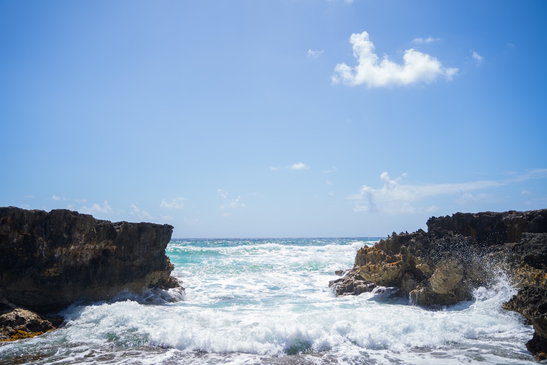 Punta Sur : la nature sauvage de Cozumel - 77600 Cozumel | Secret World Trip Planner