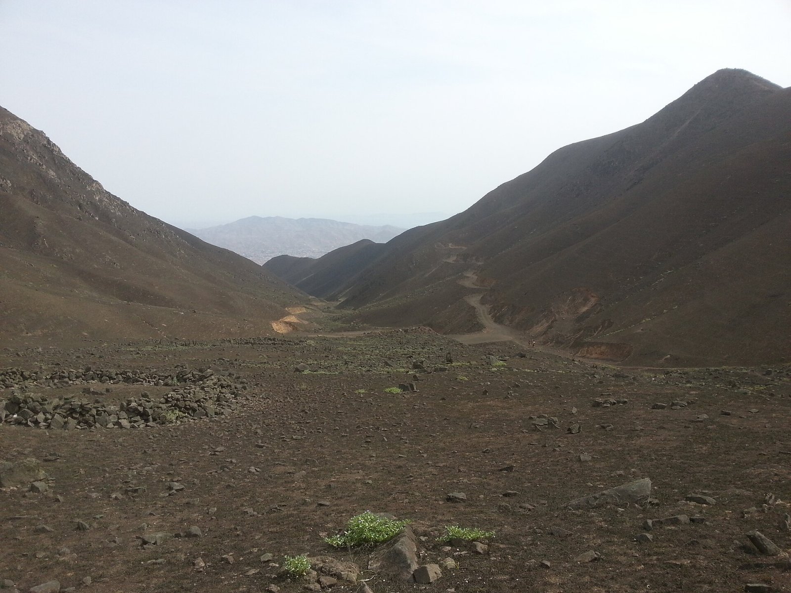 Entdecke Loma Zapallal: Ein Naturparadies in Peru - Cabo Inga | Secret World Trip Planner