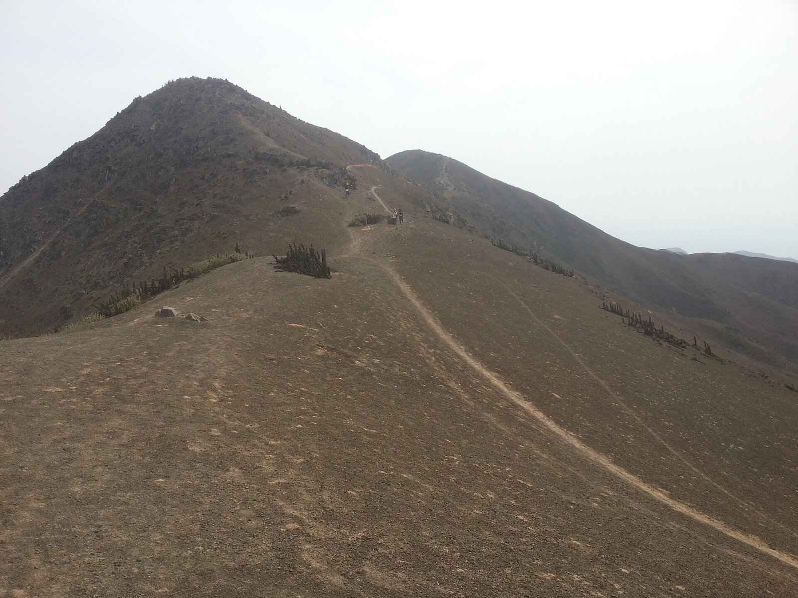 Entdecke Loma Zapallal: Ein Naturparadies in Peru - Cabo Inga | Secret World Trip Planner