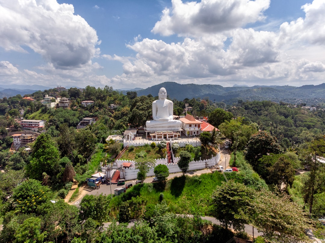 Maligawila Buddha Statue: Ein Meisterwerk der Geschichte Sri Lankas - Okkampitiya | Secret World Trip Planner