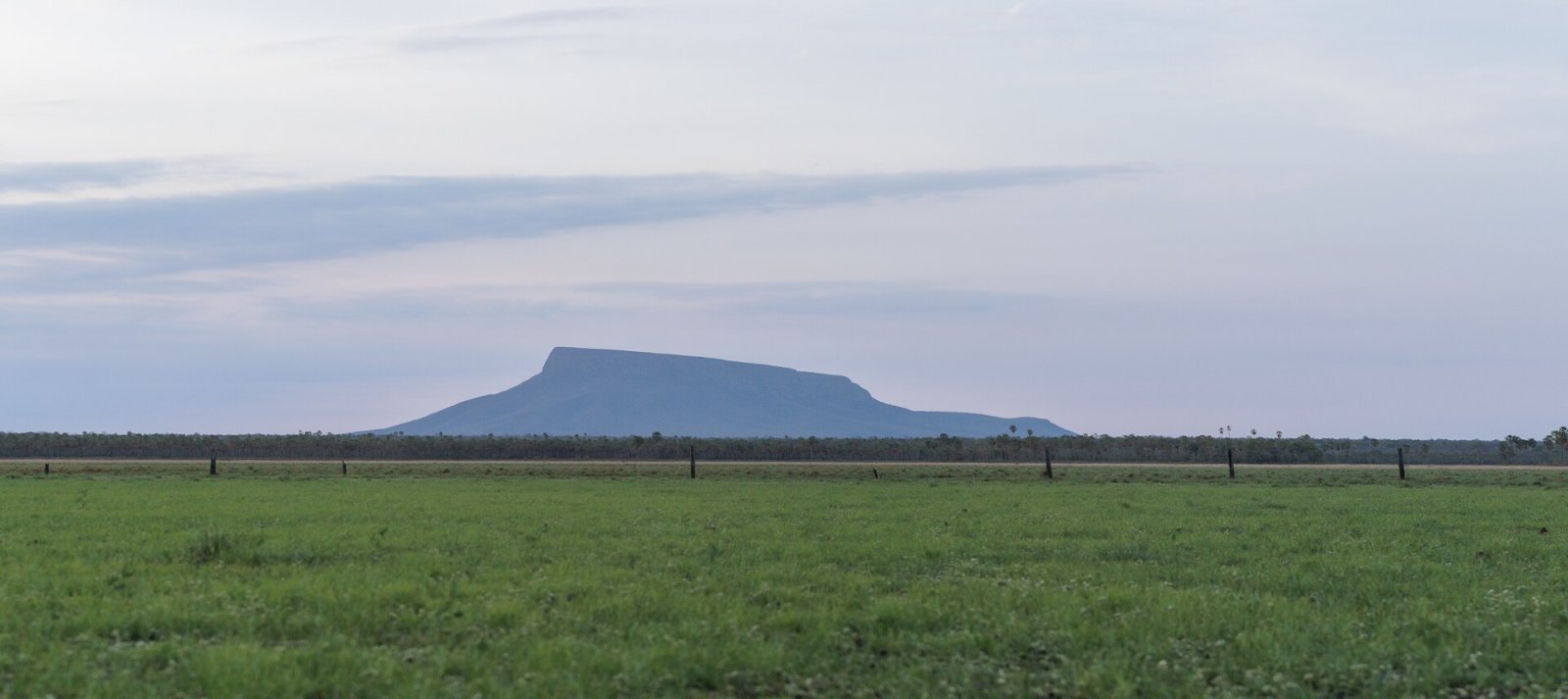 Cerro San Miguel: A Corner of Untouched Nature in Bolivia - Calacruz | Secret World Trip Planner