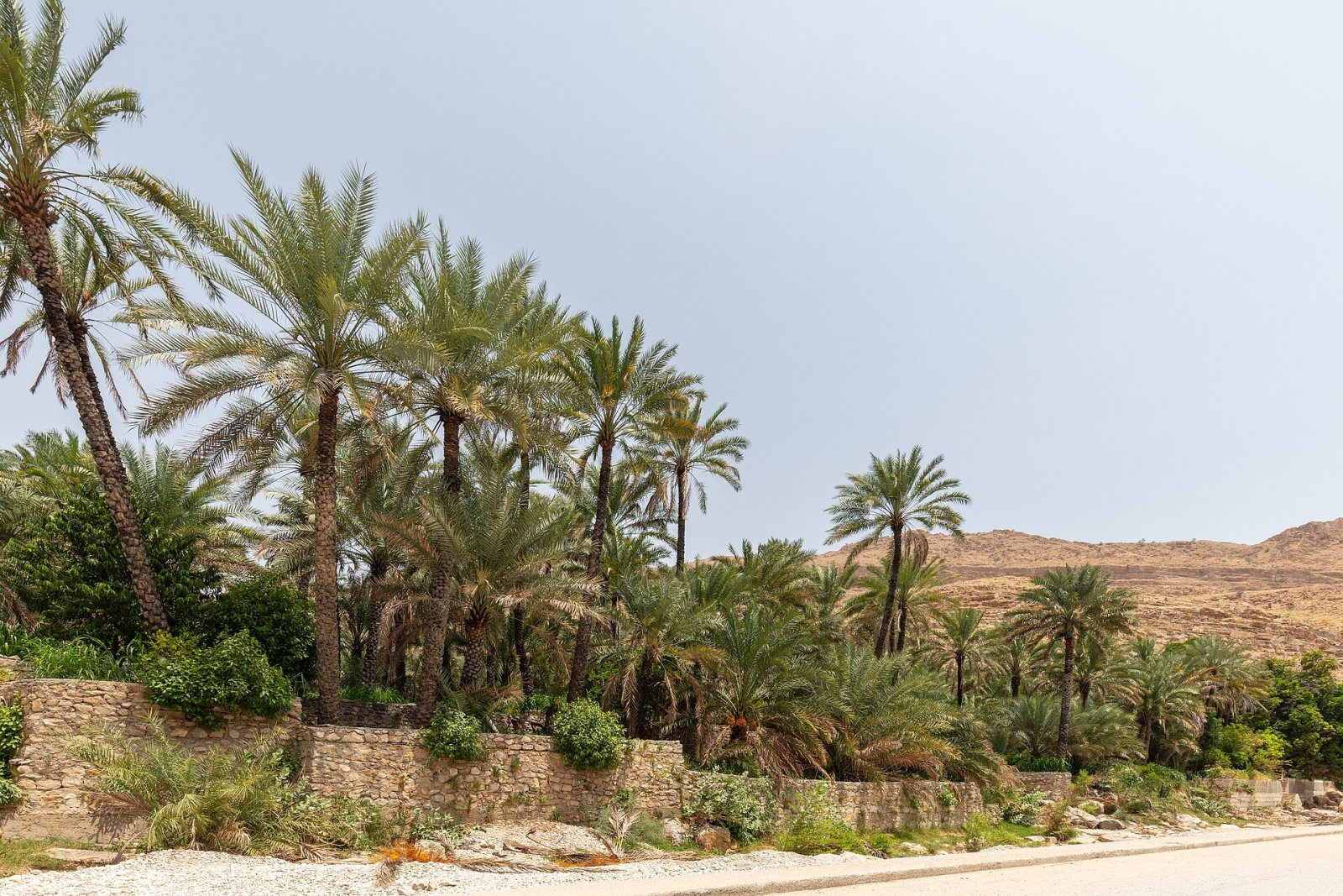 Découvrez les Wadis d'Oman : un voyage entre nature et aventure - حلوف ومسحيلة | Secret World Trip Planner