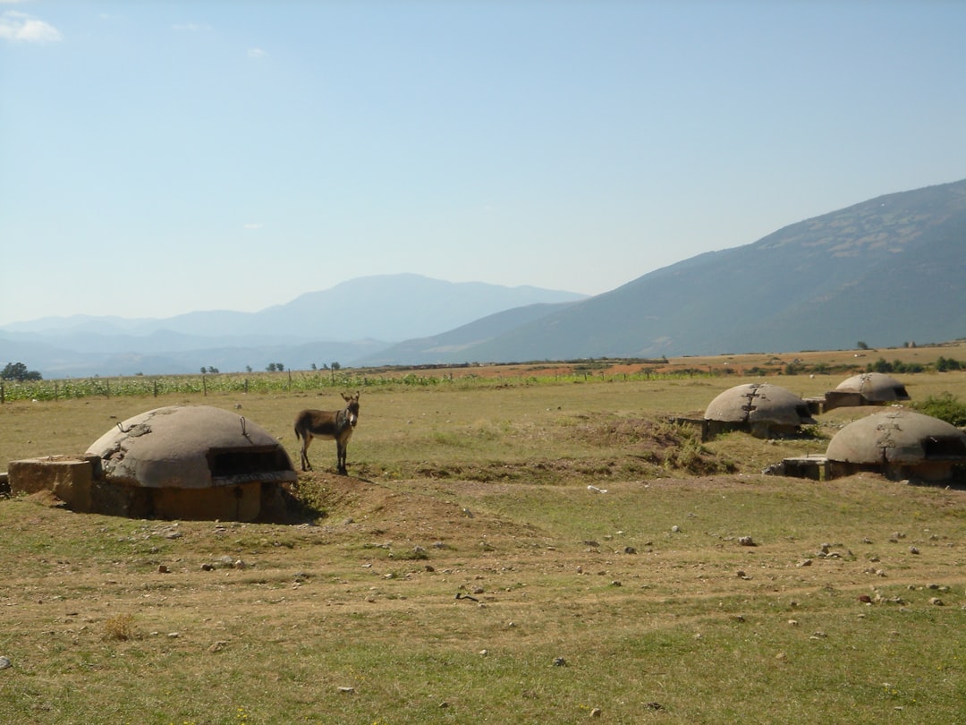 Découvrir le Bunker : Histoire et Culture en Albanie - Tiranë | Secret World Trip Planner