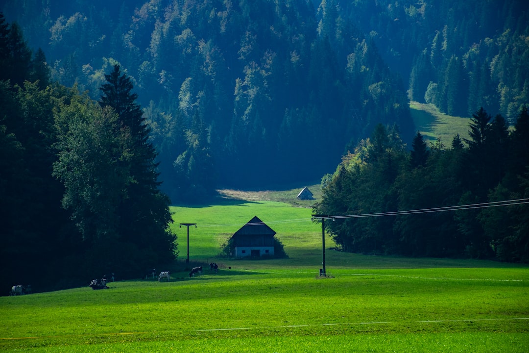 Passo Vršič : panoramas sur les Alpes juliennes - Kranjska Gora- Vršič | Secret World Trip Planner