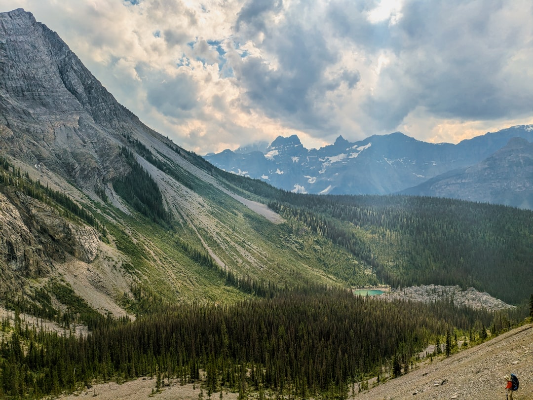 Kananaskis Trail: sentieri alpini tra orsi e laghi - Kananaskis | Secret World Trip Planner