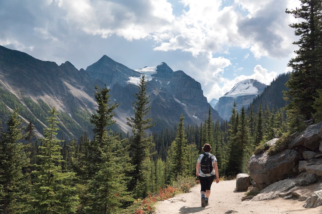 Kananaskis Trail: Alpine Paths Among Bears and Lakes - Kananaskis | Secret World Trip Planner