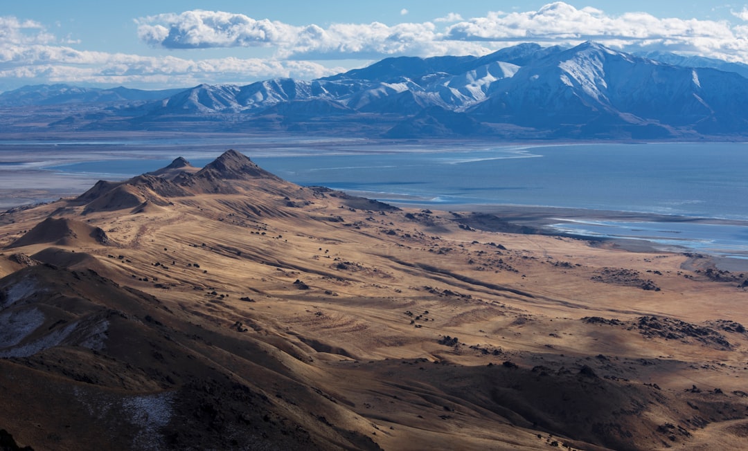 Sentieri di Antelope Island: bison e acque rosa del Great Salt Lake - Syracuse | Secret World Trip Planner