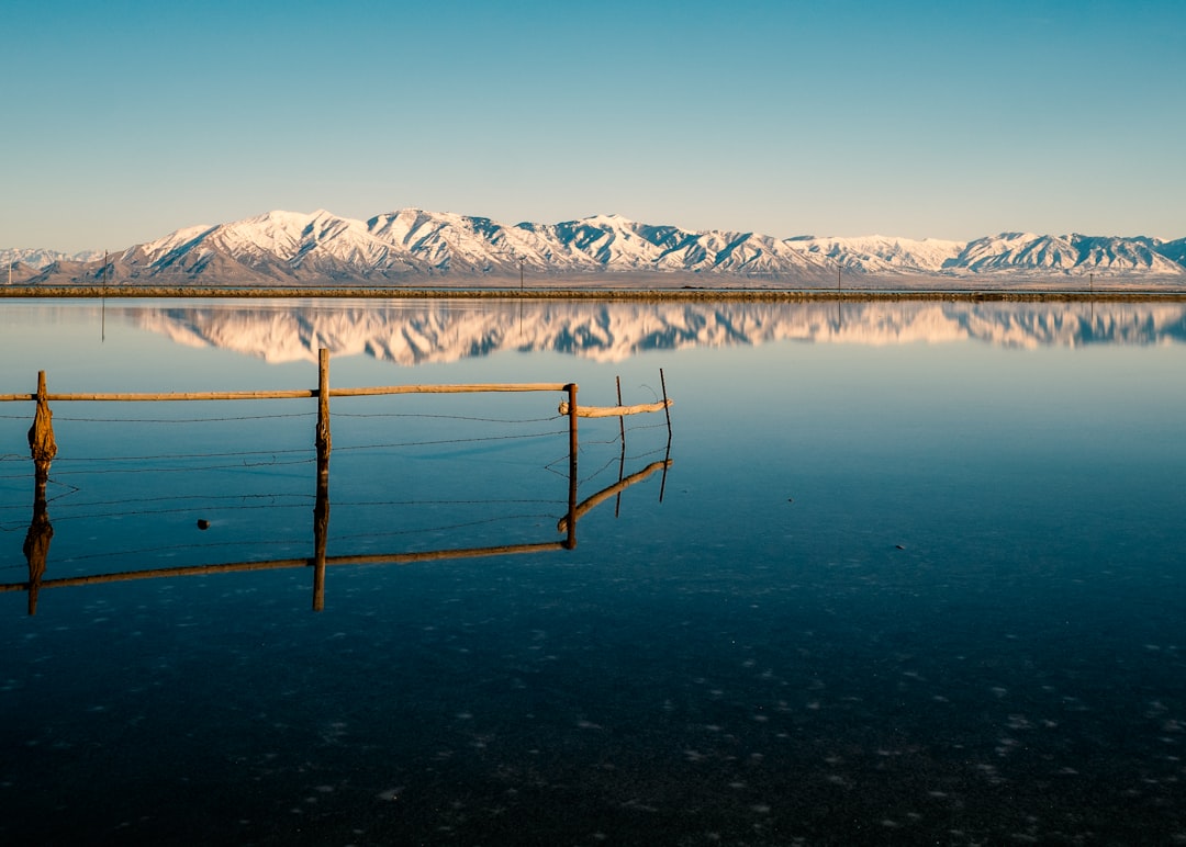 Antelope Island Trails: Bison and Pink Waters of Great Salt Lake - Syracuse | Secret World Trip Planner