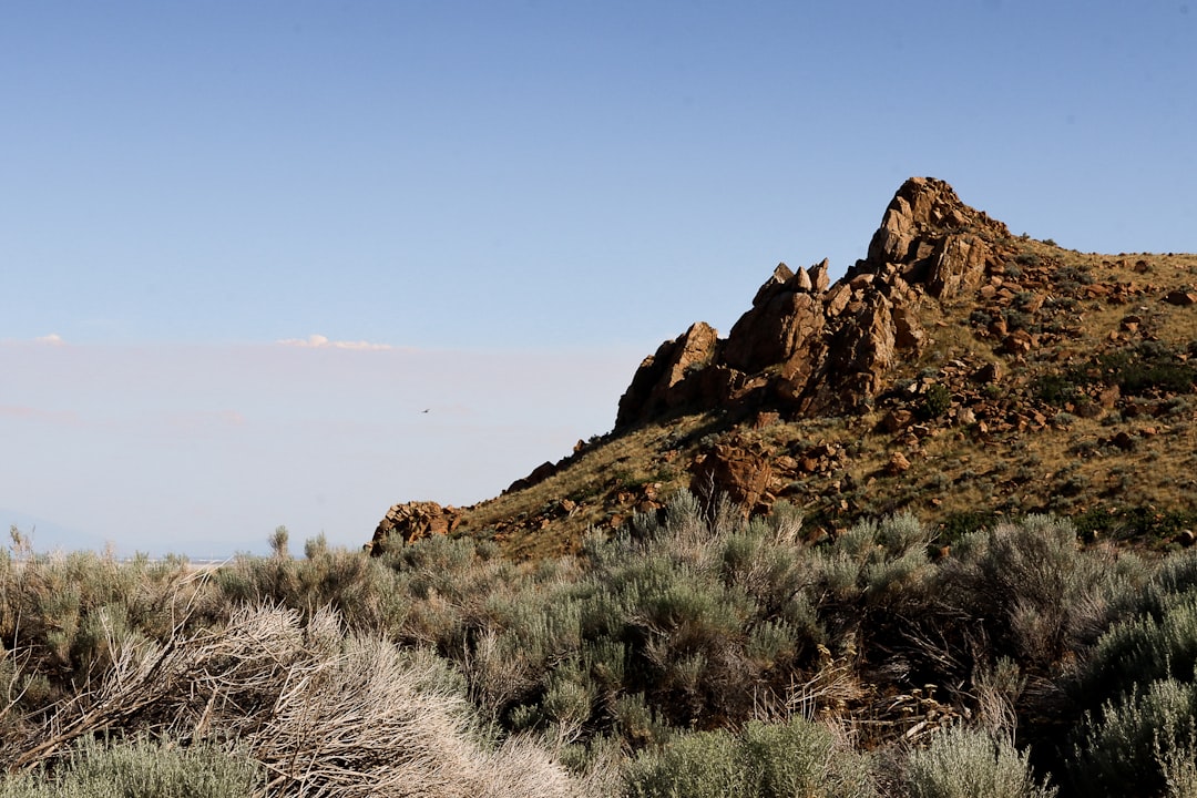 Wanderwege auf Antelope Island: Bisons und rosa Gewässer - Syracuse | Secret World Trip Planner
