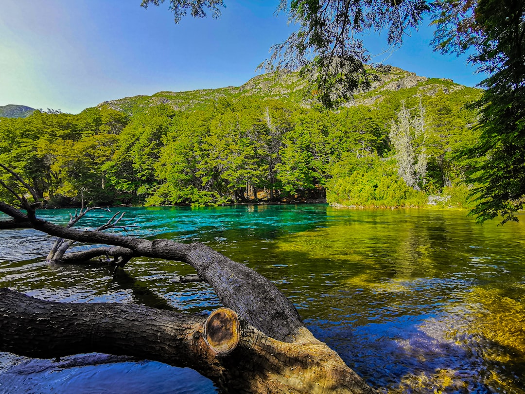 Blue Lake Cave: Bonito's Stunning Underground Lake - MS | Secret World Trip Planner