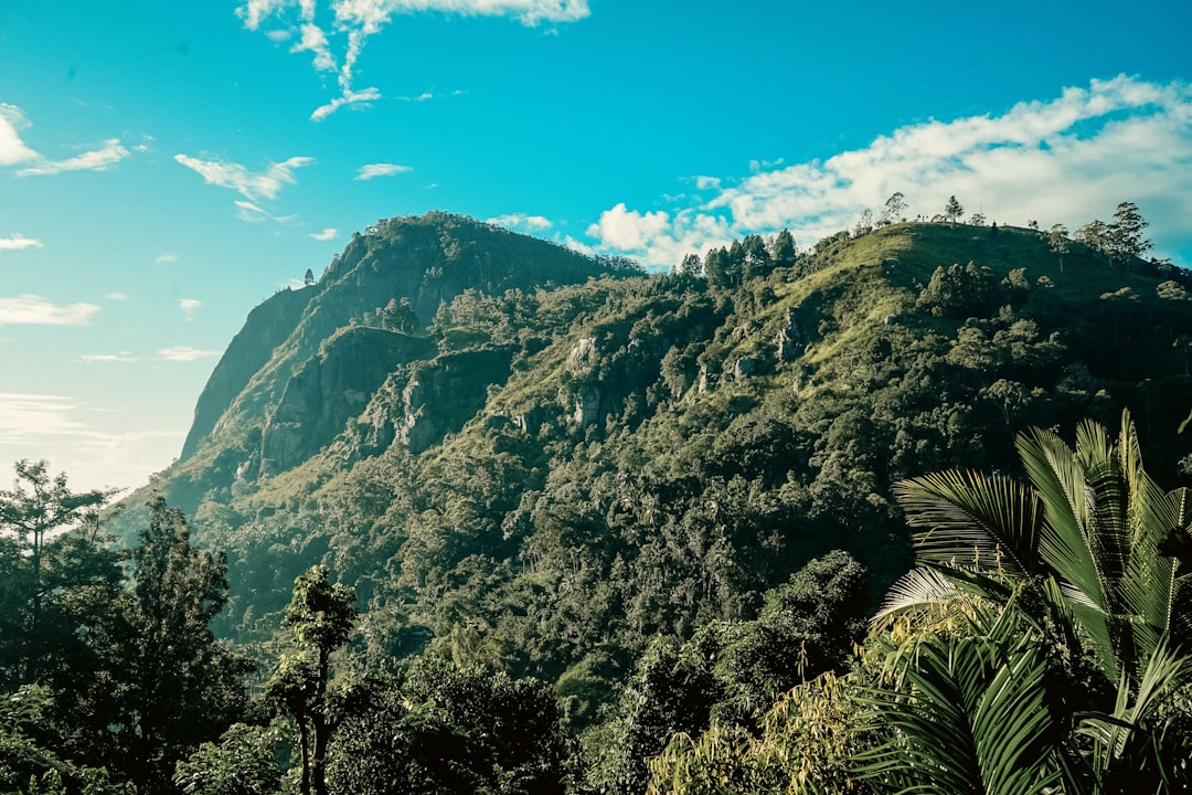 Little Adam's Peak: panorami all'alba su Ella - Ella | Secret World Trip Planner