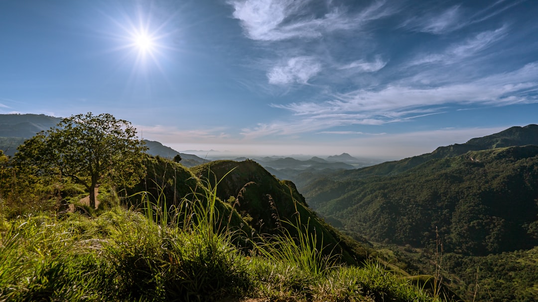Little Adam's Peak: panorami all'alba su Ella - Ella | Secret World Trip Planner