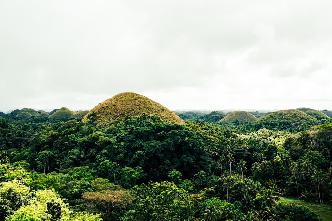 Collines de chocolat à Bohol : un panorama enchanteur - Carmen | Secret World Trip Planner
