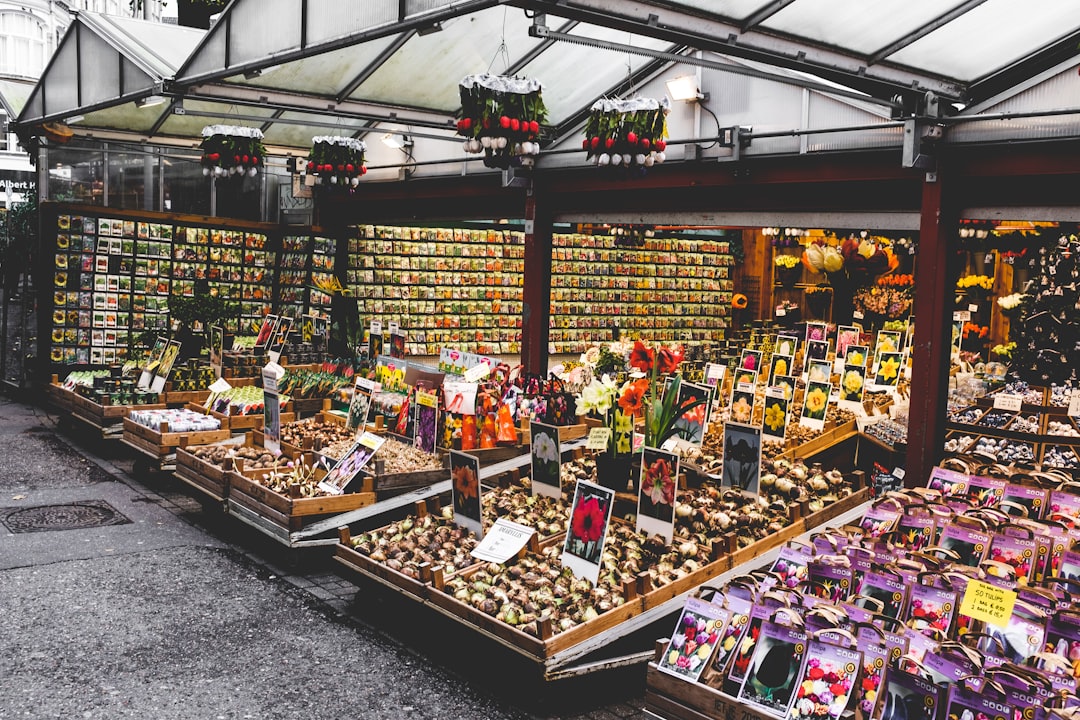 Bloemenmarkt di Amsterdam: il mercato galleggiante dei tulipani - Singel 630 | Secret World Trip Planner