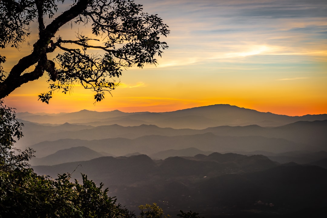 Discover Doi Pui: a Natural Gem in Thailand - Mae Rim District | Secret World Trip Planner