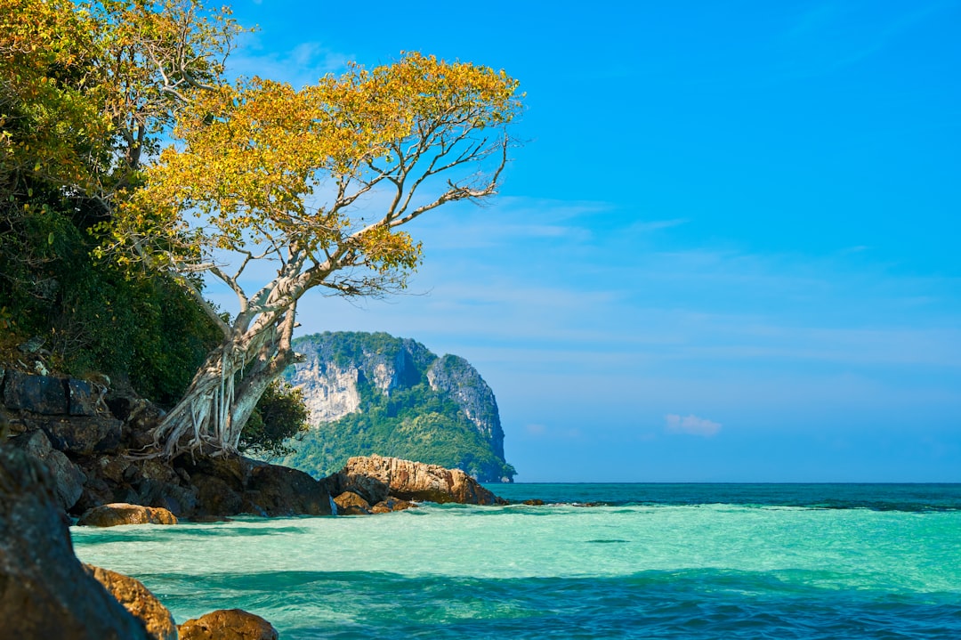 Découvrez Khao Khiao : Un Paradis Naturel en Thaïlande - Pak Phli District | Secret World Trip Planner