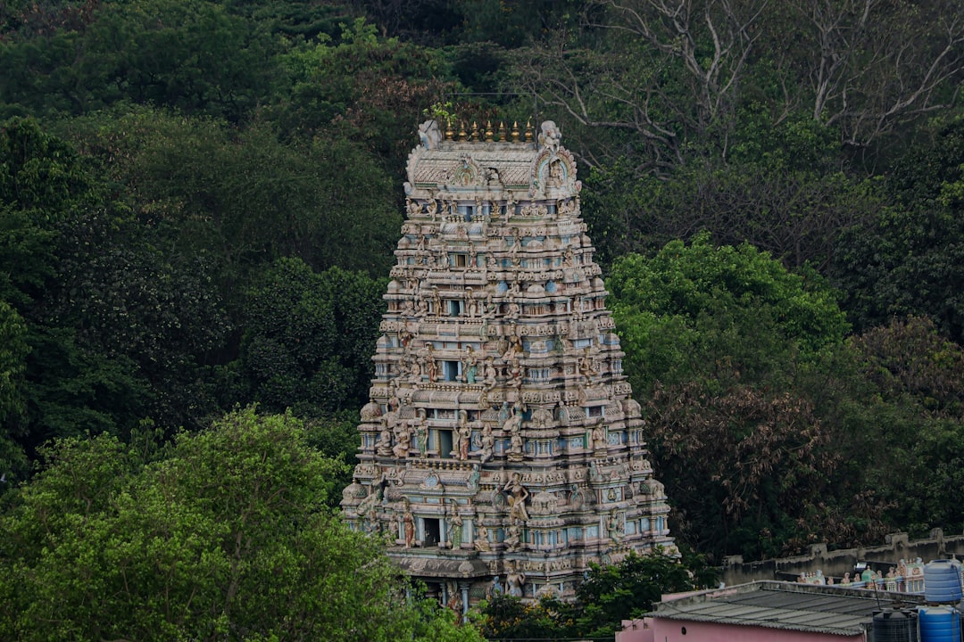 Temple de Kapaleeshwarar : sculptures sacrées à Chennai - Chennai | Secret World Trip Planner