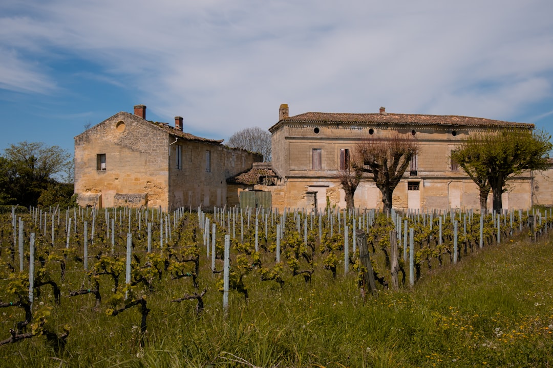 Château Ksara: vini e cantine romane nel Libano - Ksara | Secret World Trip Planner
