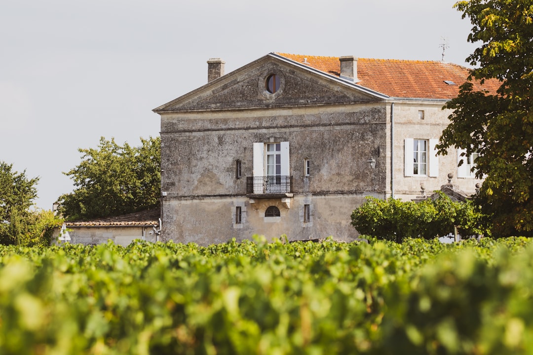 Château Ksara: Roman Wines and Cellars in Lebanon - Ksara | Secret World Trip Planner