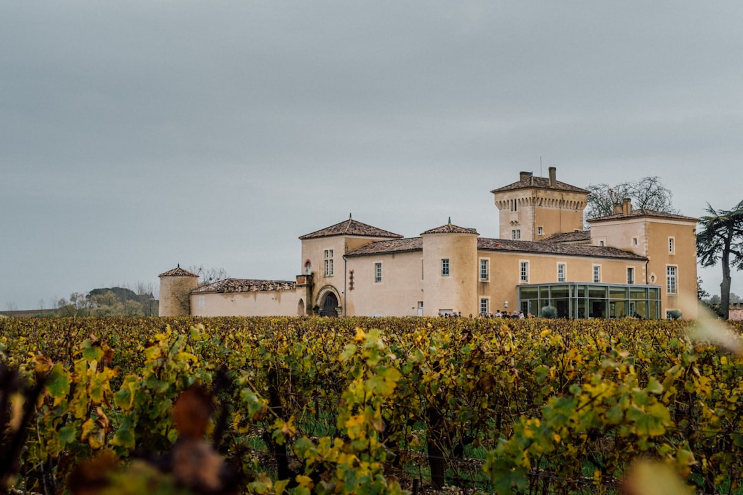 Château Ksara: Roman Wines and Cellars in Lebanon - Ksara | Secret World Trip Planner