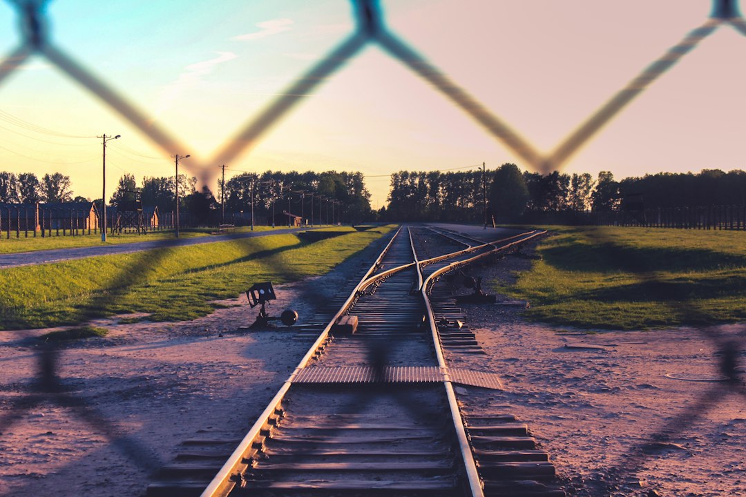 Auschwitz-Birkenau: visita al memoriale della Shoah - Więźniów Oświęcimia 55 | Secret World Trip Planner