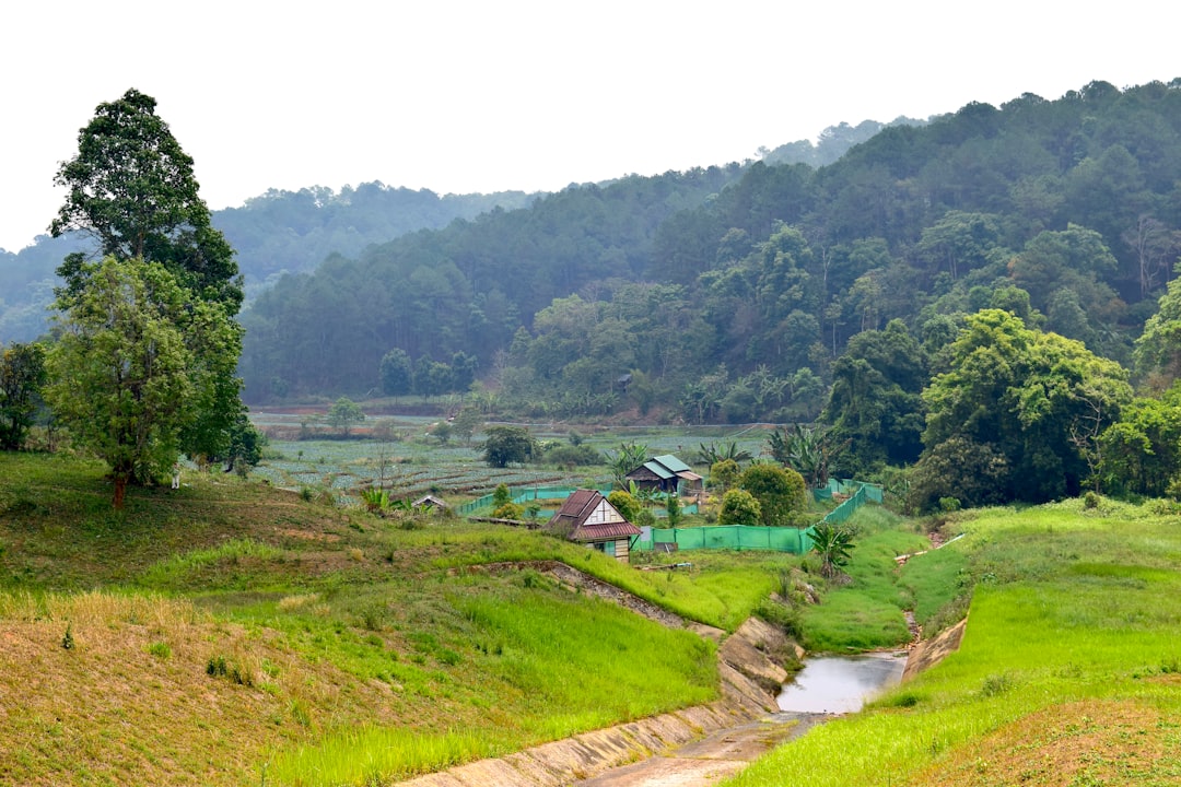 Doi Inthanon : chemins entre forêts et pagodes - Distretto di Mae Chaem | Secret World Trip Planner