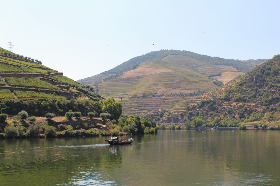 Douro Wines: Discover Porto Valley in Peso da Régua | Secret World Trip Planner